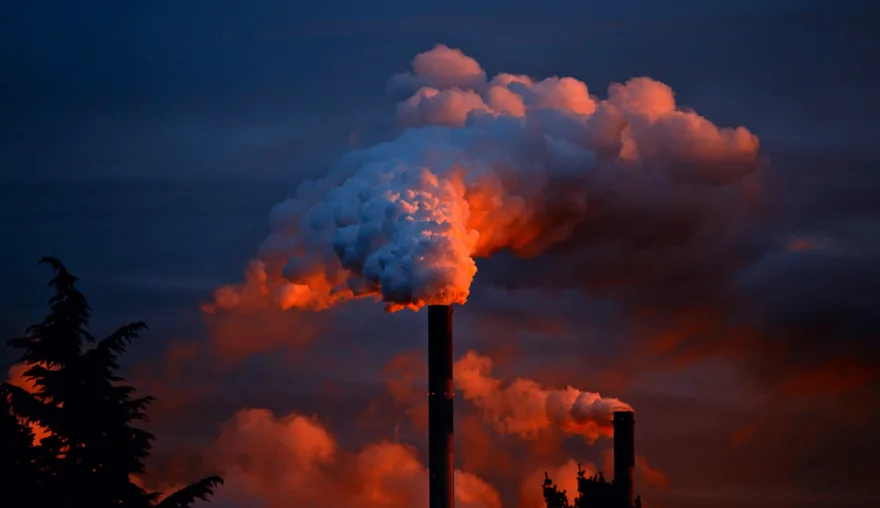 The Tata saga: Another environmental issue on the court's plate?