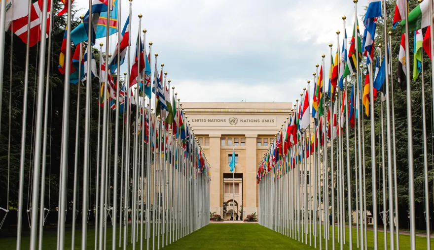 A Uniting for Peace Response to Disuniting for War: The Role of the two Political Organs of the UN