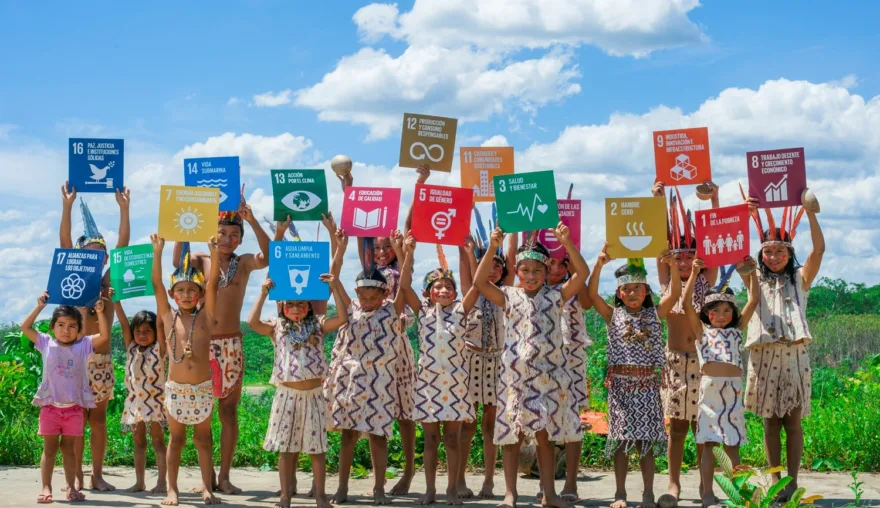 Towards a needs-oriented international development aid system