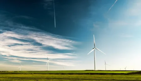 NIMBY: slaat de Raad van State burgerparticipatie in de wind?