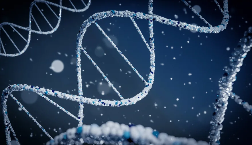 Investigative Forensic Genetic Genealogy (iFGG)