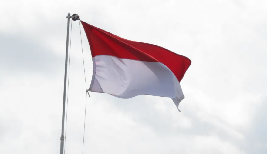 Capturing a ‘regulatory capture’?: A closer look at the Indonesian PERPPU on job creation