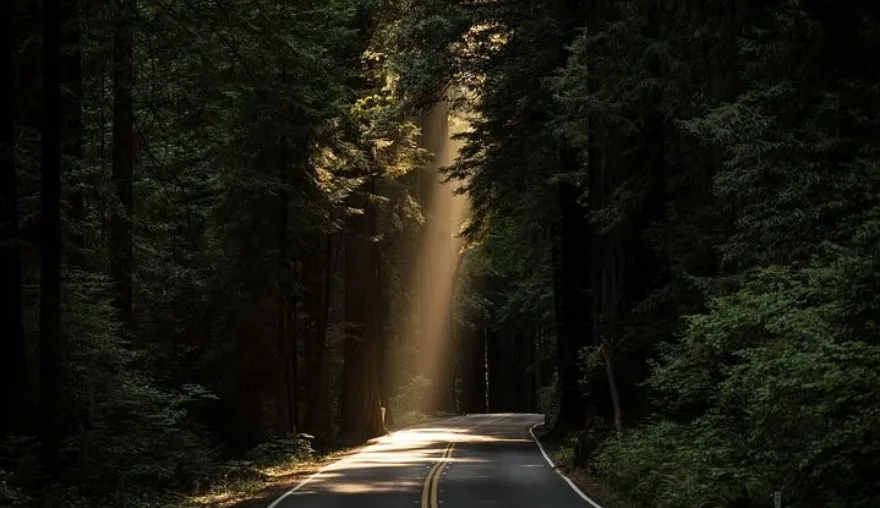 Putting the pre-pack into practice: A ray of light at the end of the tunnel?