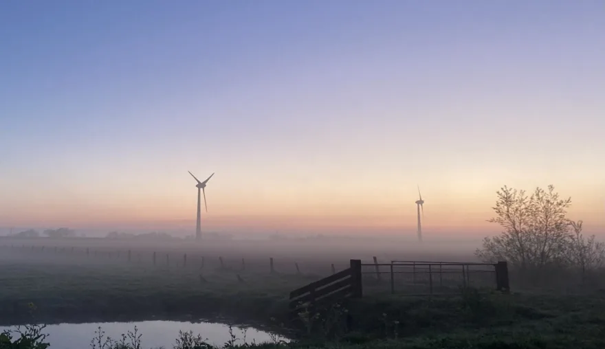 New EU rules to curb greenwashing