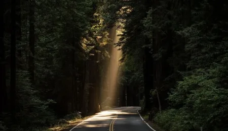 Putting the pre-pack into practice: A ray of light at the end of the tunnel?