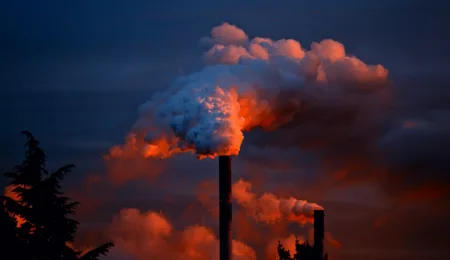 The Tata saga: Another environmental issue on the court's plate?