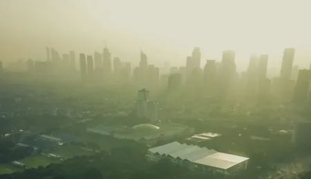 Climate change litigation in Indonesia