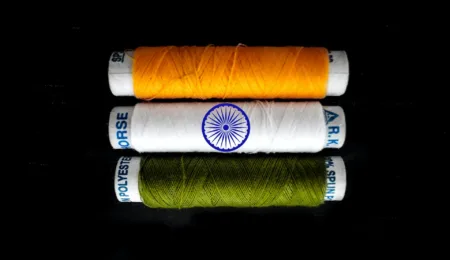 Sustainable development in India’s FTAs