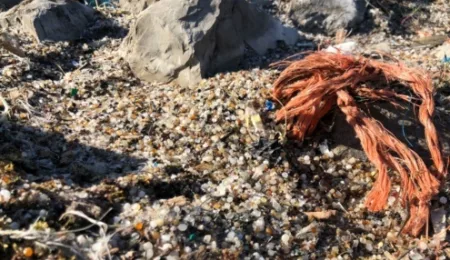 Combatting plastic pollution by effective enforcement