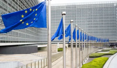 Due diligence legislation versus trade policy