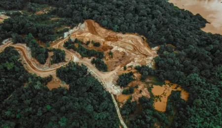 Green goals, unfair burden